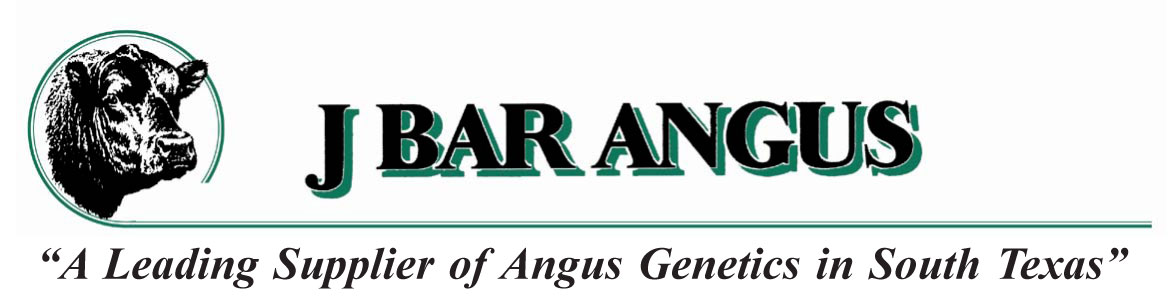 J Bar Angus branding