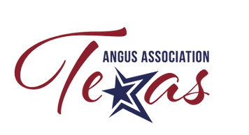 Texas Angus Association maroon script logo with a navy star.
